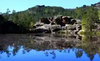 Зеленые оазисы в сердце Казахстана: новые горизонты для инвесторов в Каркаралинском нацпарке