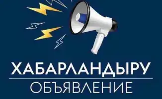 В поисках мудрых путеводителей: конкурс на независимых членов Наблюдательного совета «Digital Silk Road Company»