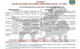 Собачьи прогулки под контролем: что нужно знать?