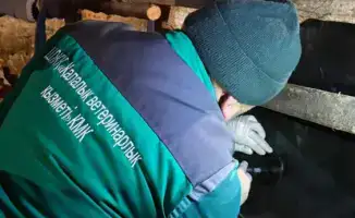 В Алматы запускается программа бесплатной вакцинации сельскохозяйственных животных для защиты здоровья населения