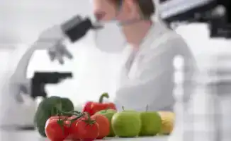 Карантинные ловушки: 121 нарушение на границе!