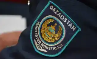 Полиция Алматы призывает родителей к ответственности за безопасность детей на дорогах