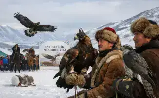 Восточный Казахстан: битва беркутчи за титул мастера