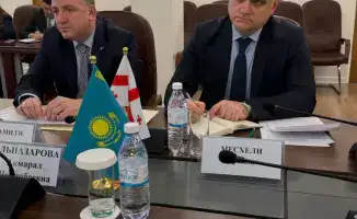 Казахстан и Грузия: новые горизонты в здравоохранении