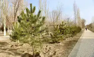 Строительные горизонты: Аким области Нурлыбек Налибаев наблюдает за возведением культурного оазиса