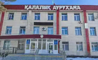 Внеплановая проверка Минздрава в Рудненске: последствия для местных медицинских учреждений после разоблачений блогера