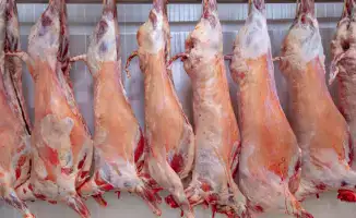 Министр сельского хозяйства Айдарбек Сапаров прокомментировал слухи о вывозе казахстанской говядины за границу под видом картошки, опровергнув информацию и подчеркнув важность контроля за экспортом.