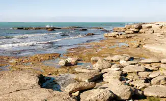 Правительство Казахстана выделило 1,1 миллиарда тенге на сохранение Каспия