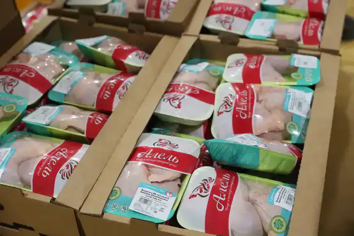 Более половины сельхозпродукции Жамбылской области обеспечивает животноводство (9)