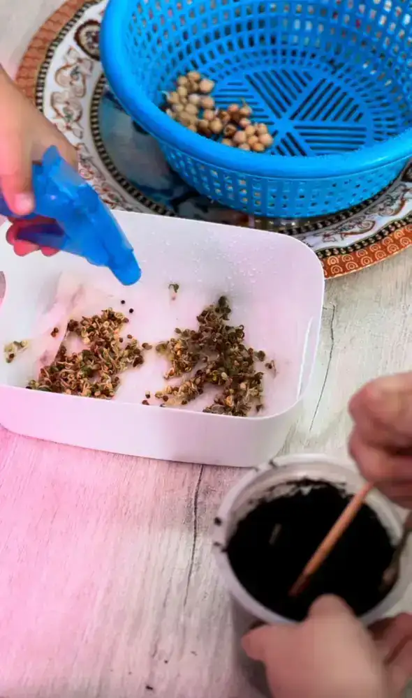 Цветы жизни: как в детском саду «Өрлеу» поддержали акцию «Таза Қазақстан» (2)