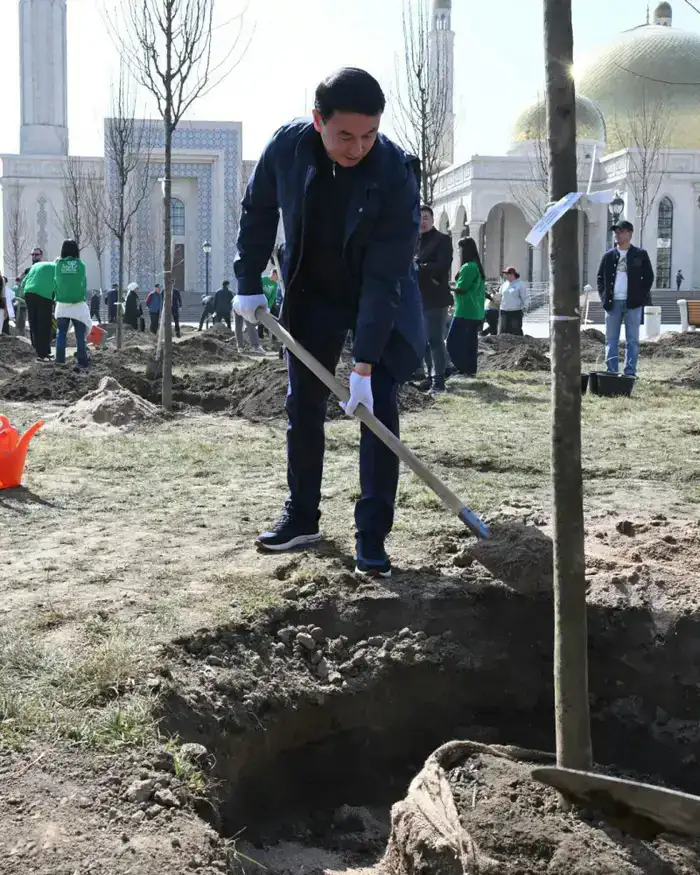 Посадка 550 тысяч деревьев в Алматы в честь Наурыза