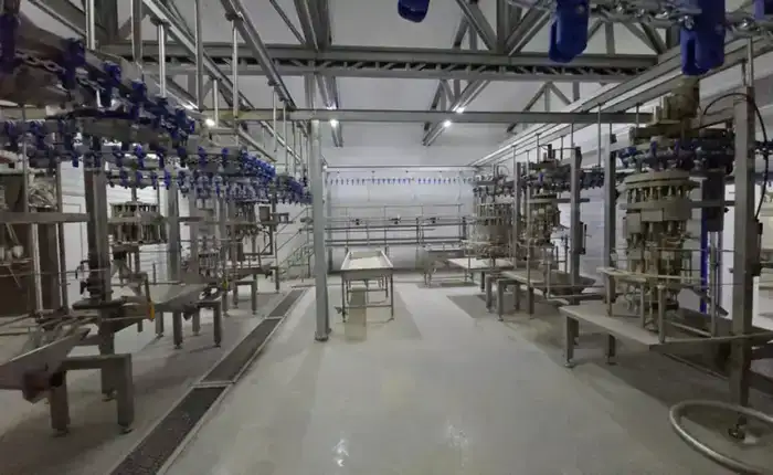 Птицефабрику мощностью 3,5 тыс. тонн в год запустят в Кызылординской области (5)