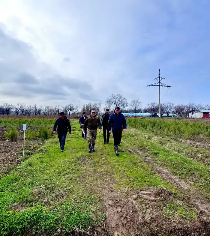 Туркестанская область на первом месте по саженцам