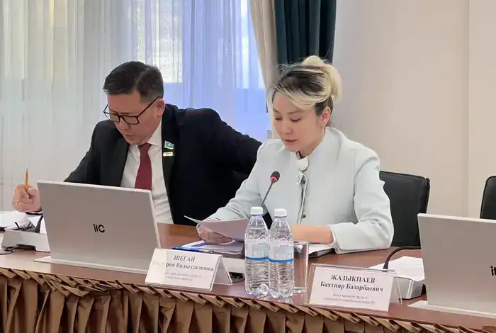 Международные усилия по улучшению работы Портала социальных услуг «Aleumet» для поддержки людей с инвалидностью