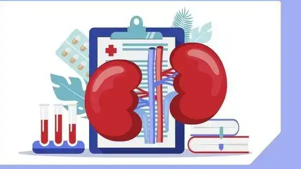 Бесплатные обследования почек в Караганде: важный шаг к профилактике заболеваний