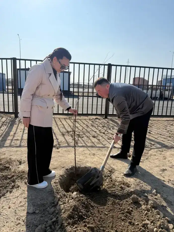 Родители высадили саженцы во дворах «Келешек мектептері» (4)