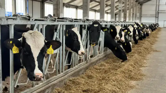 ФАО: АПК Казахстана демонстрирует стабильный рост и внушительный экспортный потенциал (2)