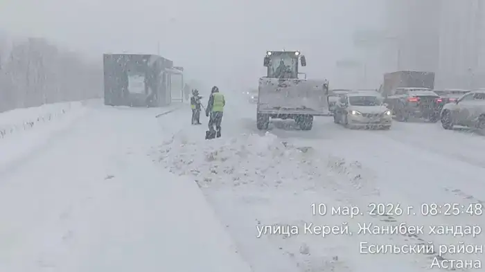 Снегопад в Астане: более 1700 единиц спецтехники задействованы в уборке снега в Астане (4)