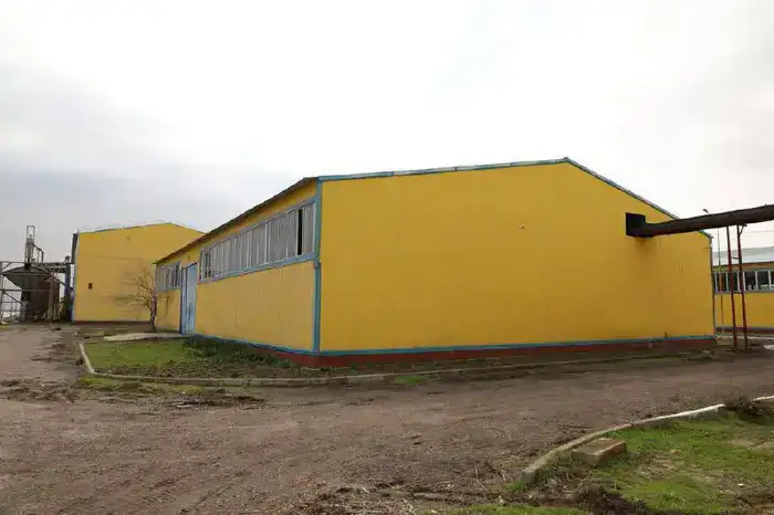 В Туркестанской области запущен завод по переработке масличных культур (3)