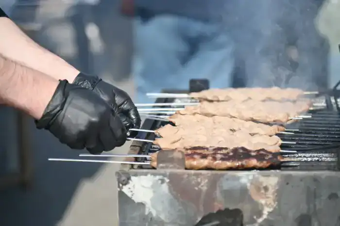 МЕЖДУНАРОДНЫЙ ФЕСТИВАЛЬ «DAMDASTOUR» В ШЫМКЕНТЕ СТАЛ ЯРКИМ СОБЫТИЕМ НАУРЫЗА (2)