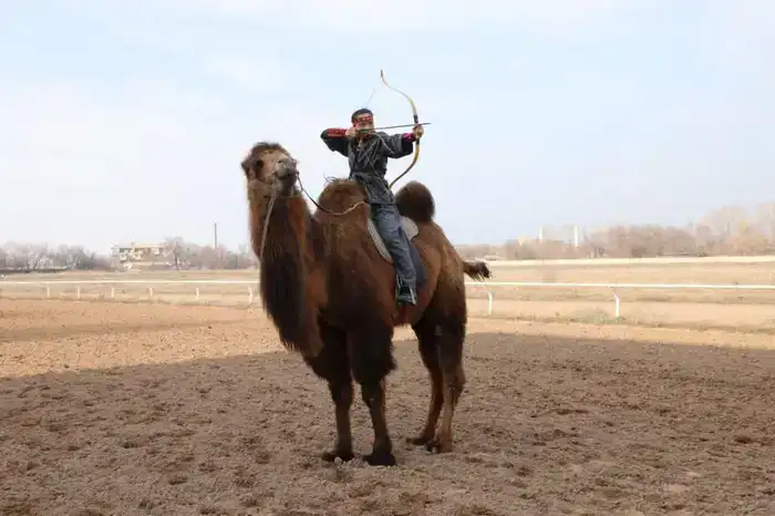 Динара Сайдалина устанавливает мировой рекорд: 4 мишени за 10 секунд с верблюда на ипподроме Алматы