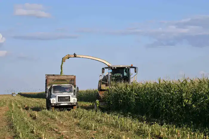 В области Абай рассмотрели ход подготовки к весенне-полевым работам (10)