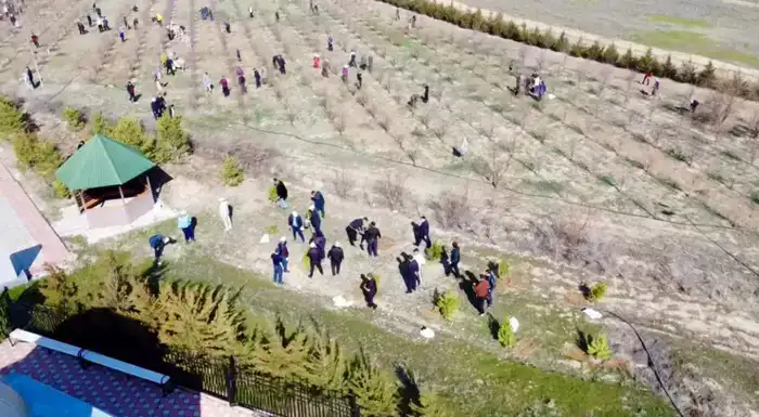 «Таза Қазақстан»: в Жамбылской области высадили свыше 9 тысяч деревьев (10)