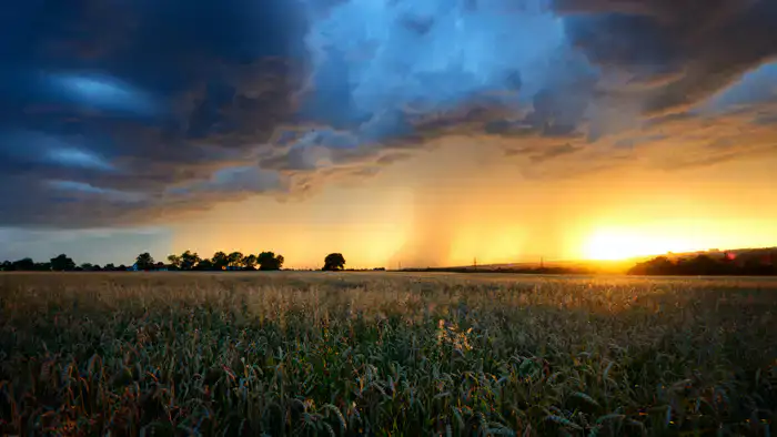 Прогноз погоды в Казахстане: 30-градусная жара 26, 27 и 28 марта от синоптиков Казгидромета Шымкенте