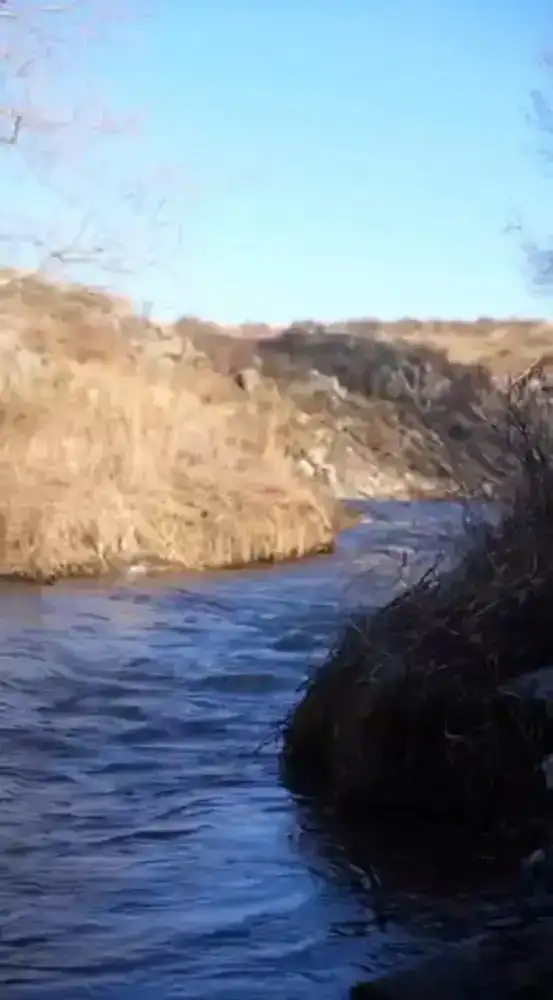 В ВКО в ходе новой экологической акции очищены родники и берега водоёмов (4)