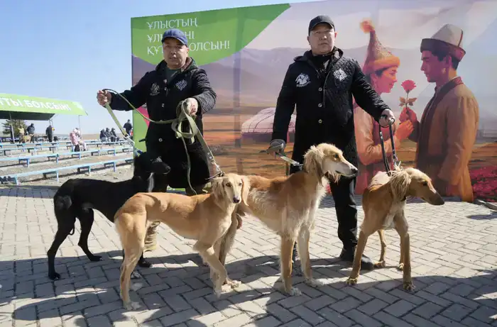 Национальный день спорта в Жетісу: дети сыграли в асыки с помощью роботов (3)
