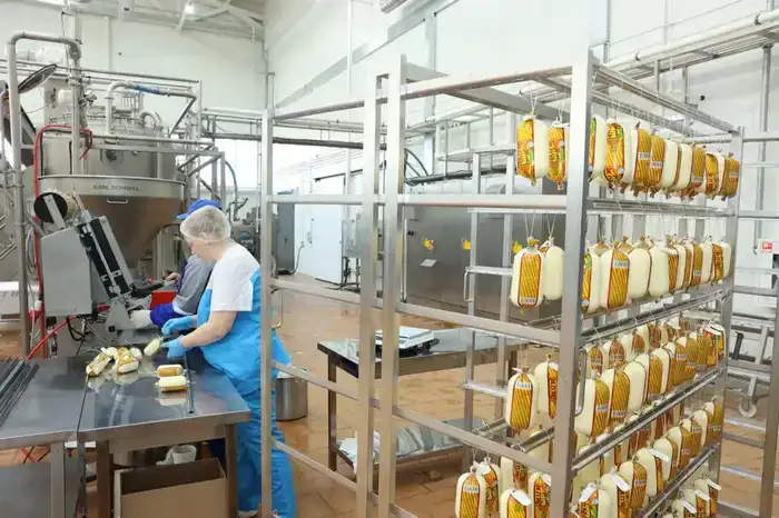 Инвестиционные проекты АПК в Костанайской области: влияние на развитие местного сельского хозяйства