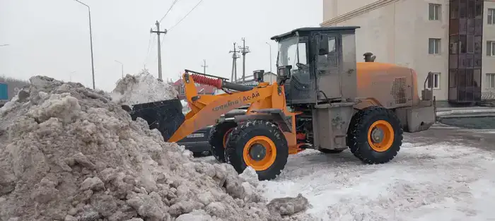 Тысячи дорожных рабочих вышли на снегоуборочные работы в Астане (5)