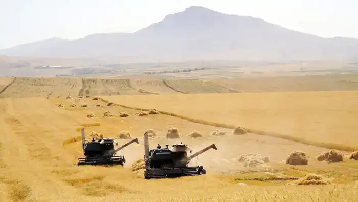 В ТУРКЕСТАНСКОЙ ОБЛАСТИ АКТИВНО ВЕДЕТСЯ ВЕСЕННЯЯ ПОСЕВНАЯ КАМПАНИЯ (3)