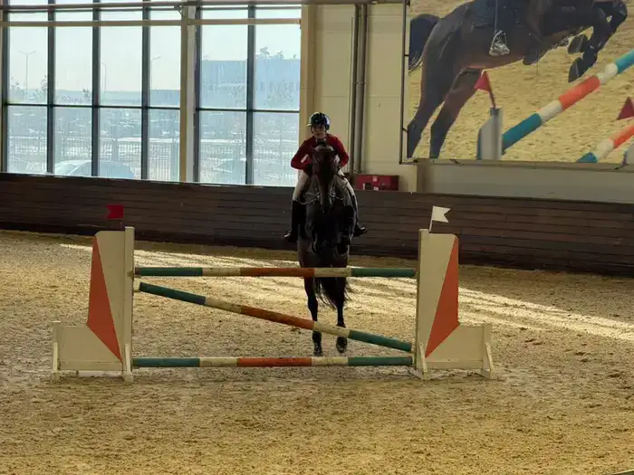 В Астане проходит чемпионат Казахстана по конкуру (4)