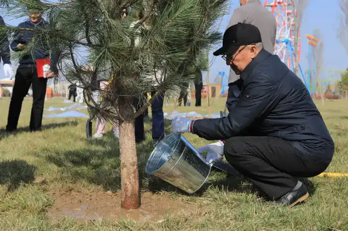 В ТУРКЕСТАНСКОЙ ОБЛАСТИ В ЭТОМ ГОДУ ВЫСАДЯТ 1 МЛН САЖЕНЦЕВ (5)