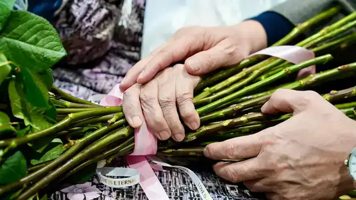 Солнечные сердца: в честь матерей и женщин, наполняющих мир теплом