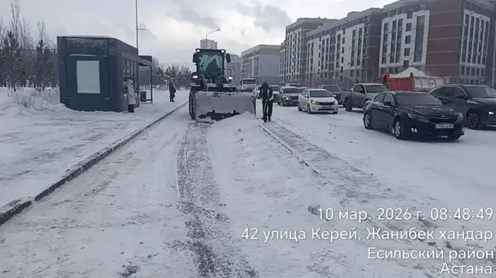 Снегопад в Астане: более 1700 единиц спецтехники задействованы в уборке снега в Астане (2)