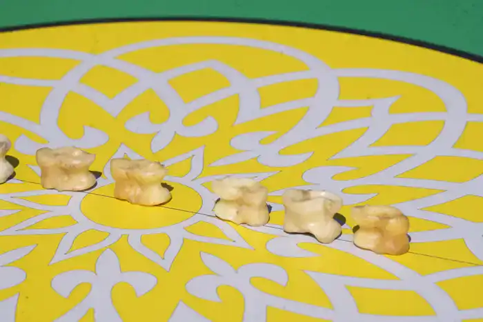 Национальный день спорта в Жетісу: дети сыграли в асыки с помощью роботов (2)