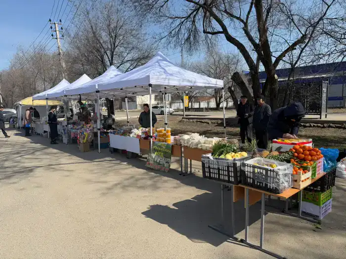 Ярмарка Алатау: праздник урожая и выбора