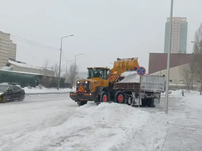 Десятки тысяч кубометров снега вывезли из столицы прошлой ночью (2)
