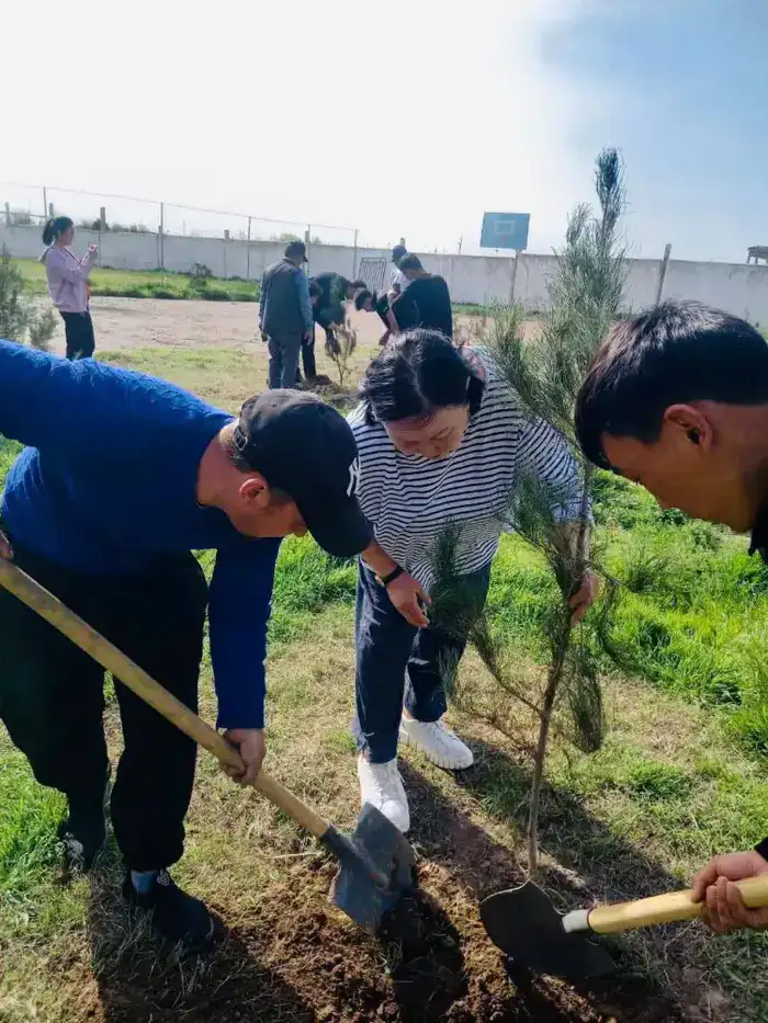 В Туркестанской области проходит акция по посадке саженцев в рамках инициативы «Мөлдір бұлақ»