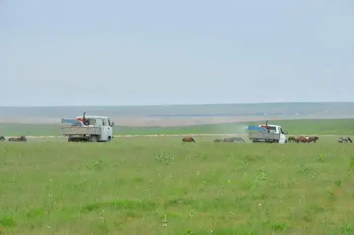 В ТУРКЕСТАНСКОЙ ОБЛАСТИ К БОРЬБЕ С САРАНЧОЙ ПРИВЛЕКУТ БОЛЕЕ 2 ТЫСЯЧ ЧЕЛОВЕК (4)