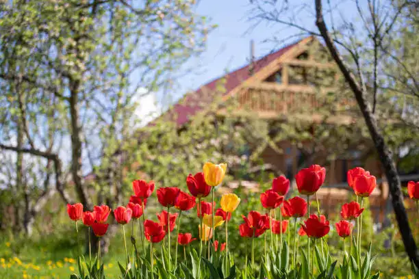 Алматы: дачные массивы станут частью населённых пунктов