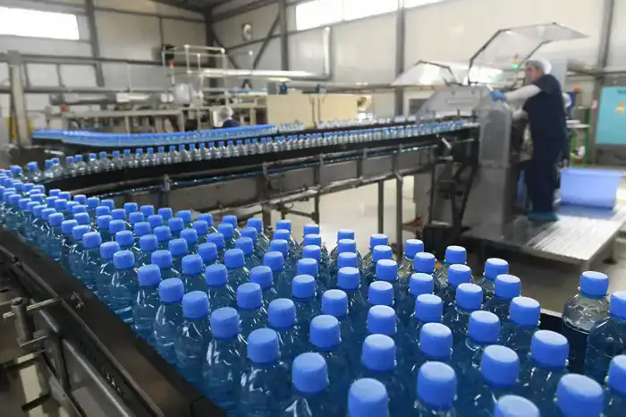 В Алматы социальное предпринимательство расцветает: 155 новых светил для уязвимых