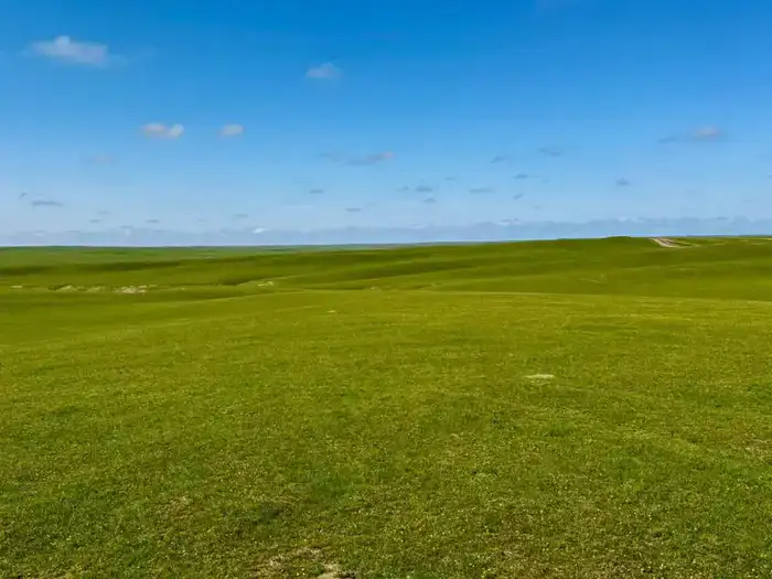 В ТУРКЕСТАНСКОЙ ОБЛАСТИ НАЧАЛАСЬ БОРЬБА С САРАНЧОЙ (2)