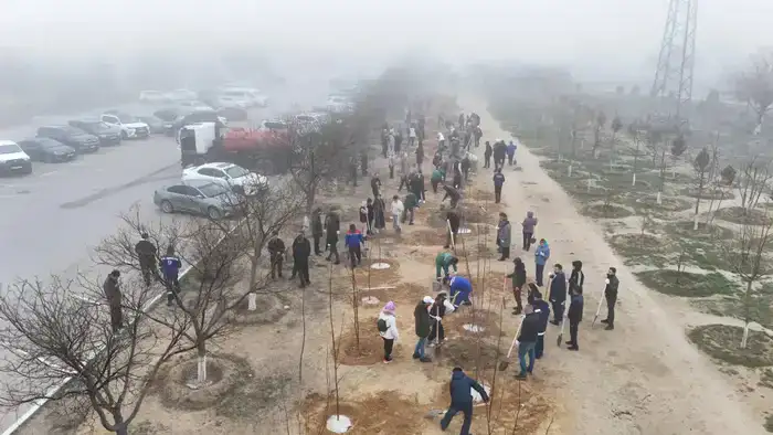 В Мангистауской области в рамках экологической акции «Тазару күні» прошёл масштабный субботник (2)