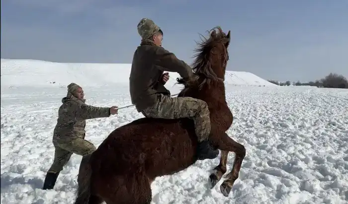 В горно-егерском полку проходят занятия по боевому слаживанию конных подразделений (2)