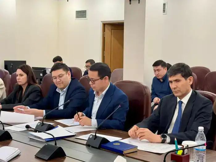 А.АЛЬНАЗАРОВА ПРОВЕЛА ВСТРЕЧУ С ПРЕДСТАВИТЕЛЯМИ МИС ПО ВОПРОСАМ ИСПОЛНЕНИЯ ПОРУЧЕНИЯ ГЛАВЫ ГОСУДАРСТВА (2)