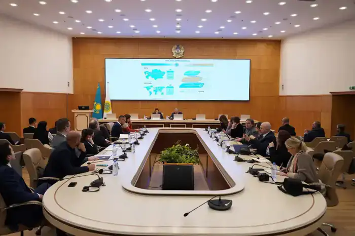 Глобальный взгляд: международные наблюдатели на пороге казахстанского референдума