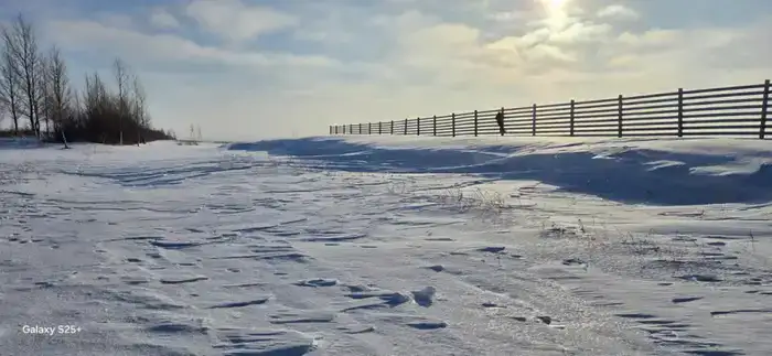 Зима без заносов: на трассе «Астана – Кокшетау» тестируют новую снегозащитную систему (5)